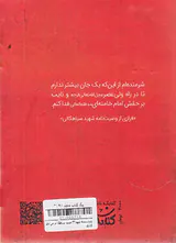 شهید حمید سیاهکالی مرادی_شناسنامه شهدا3